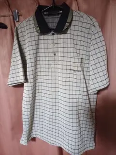 Item thumbnail for item fd033b36-115e-4067-9690-8e8dadc22ec4