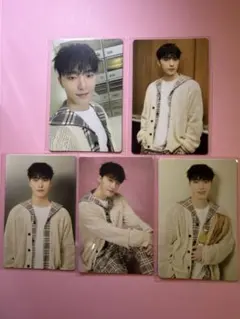 SEVENTEEN CARATLAND DINO