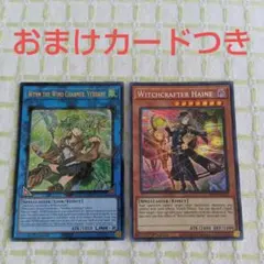 2026年最新】蒼翠の風霊使いウィンの人気アイテム - メルカリ