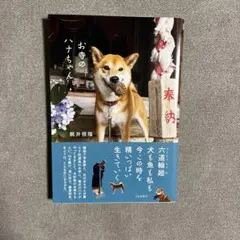 お寺のハナちゃん 梶井照陰