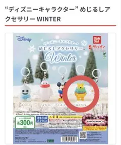 ディズニーキャラクター めじるしアクセサリー WINTER