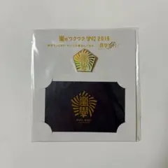 嵐 ワクワク学校 2019 ピンバッジ