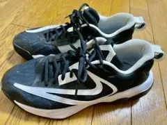 Item thumbnail for item 38e84e79-e040-4d1c-bb7b-c6b56577cacb