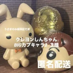 クレヨンしんちゃんBIGカプキャラ2 ネネちゃん　しんちゃん　レア　うさぎ