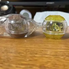 DXプラズマカプセム 未開封GPヴァレンカプセム