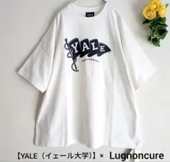 新品　カレッジロゴプリントTシャツ　ホワイト　ルノンキュールのサムネイル