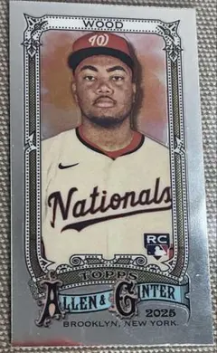 ALLEN & GINTER 2019 Lindor リンドーア 1of1 - メルカリ