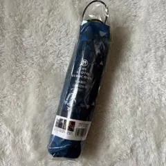 Item thumbnail for item a0a70d13-ec74-48ec-84a4-f5efa7750370