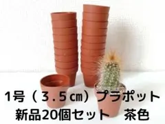 1号（3.5cm）鉢・プラポット　茶色　新品20個セットのサムネイル