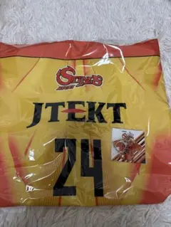 Item thumbnail for item 3b64d6c1-66a4-4c27-9868-4a6cf833b32a