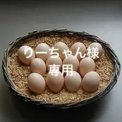 烏骨鶏のたまご　50個のサムネイル