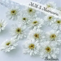 laposh_mie＊6日新作出品終了♡様 リクエスト 3点 まとめ商品