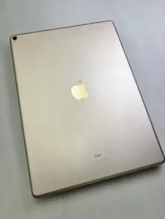 iPad Pro第2世代 12.9 & Apple pencil