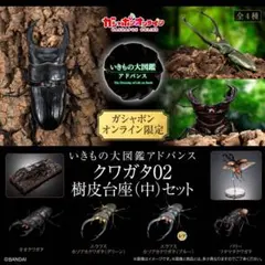 いきもの大図鑑　アドバンス