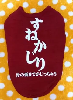 Item thumbnail for item 1439b5e9-bdf0-4c82-a9a9-a31f3aa1d74d