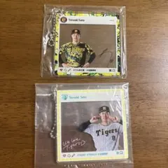 Item thumbnail for item 2c1ea475-b05d-4f3c-96ec-ccc18b5feb0e