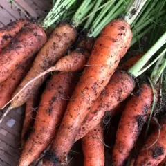 こころんのお店様 リクエスト 3点 まとめ商品