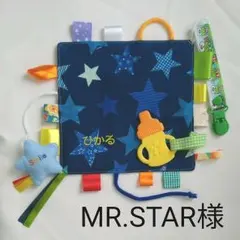 MR.STAR様オーダー品