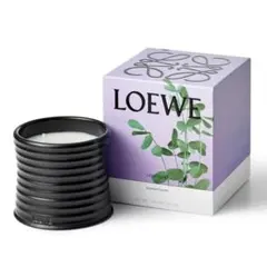 LOEWE ロエベ キャンドル BEETROOT ビートルート 170g - メルカリ