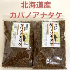 北海道産カバノアナタケ「チャーガ」500g - メルカリ