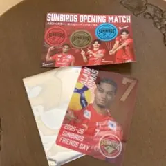 サントリーサンバーズ大阪 クリアカードアライン選手➕αのサムネイル