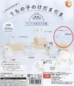 うちの子のけだまだま　三角たれみみ