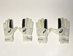 Item thumbnail for item 0f8ac4bb-b805-44f6-a9c7-079c9925a738