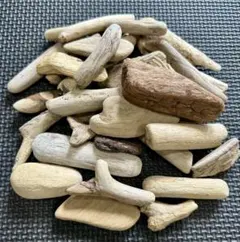 499☆ いろんな形　30本　流木　3〜7 ハンドメイド　シーグラスアート　工作