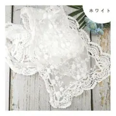 Item thumbnail for item 71bfc99f-16c7-4594-8e25-c73a962de8c6