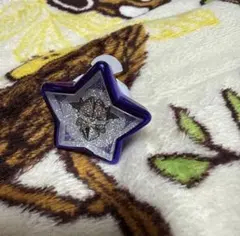 浦島坂田船 志麻 ハロパグッズ リングライト リンラ