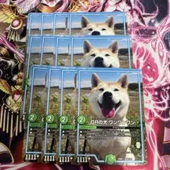 GRの犬ワンワンワン　12枚セット