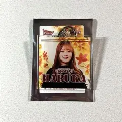 東北ゴールデンエンジェルス HARUKA アクキー 秋冬