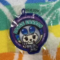 岩田剛典　GAN GUN ワッペンバッジ