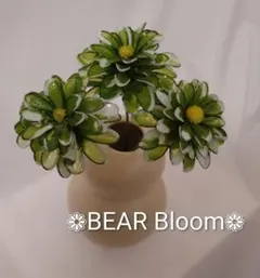 アメリカンフラワー　❁ポンポン菊3本（グリーン）❁のサムネイル