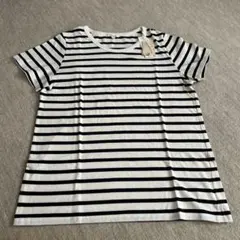 スタジオクリップ　シルクネップカラーT ボーダー　Tシャツ　Lサイズ