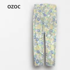 Item thumbnail for item 2efe2de9-0aef-4cc3-aeff-14ac8aca0dc8