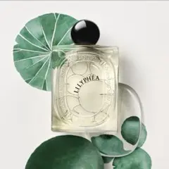 2025年最新】DYPTIQUE リリフェアの人気アイテム - メルカリ