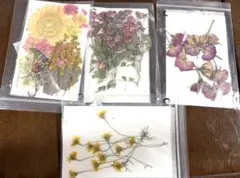 Item thumbnail for item 9710ec82-e218-499b-8fa4-b80a320c9b70