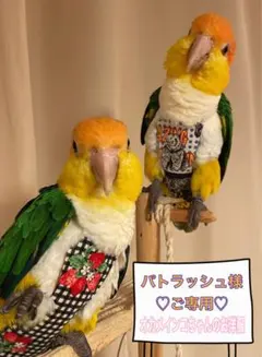 Item thumbnail for item a845a91e-aee1-4116-996a-6a7fb92da960