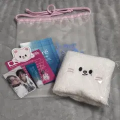 straykids スキズ ペンミ タオル 入場特典 ヒョンジン ジニレット