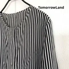 TomorrowLandストライプ柄 長袖ブラウス クルーネックシルク混洗えるのサムネイル