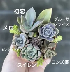 千愛様 リクエスト 2点 まとめ商品