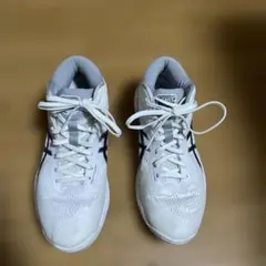 Item thumbnail for item 755e9e8d-01fb-4934-a102-4a620704ae96