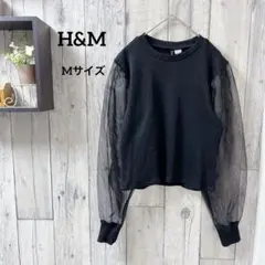 Item thumbnail for item a2ead7ac-6fe1-438f-b3ce-601f49803bff