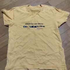 アディダスティシャツ