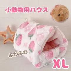 Item thumbnail for item 90f0b371-8b8a-4dbd-a7b0-e5bf57443ba6