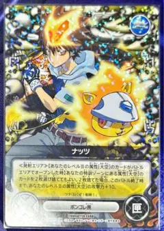 ナッツ B10 沢田綱吉 超ツナ - メルカリ