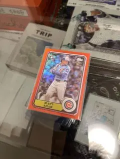 MATT SHAW topps archives 2025 /25