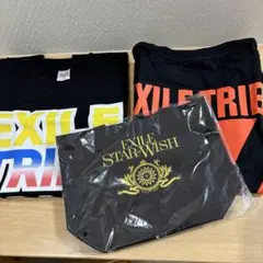 EXILE TRIBEロゴ Tシャツ Mサイズ黒2枚 （バッグ付き）