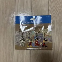 東京ディズニーリゾート キーチェーン　4種セット